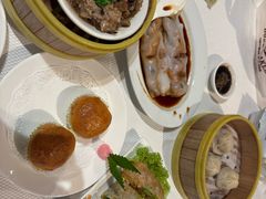 -詠春园