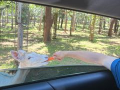 -秦皇岛野生动物园