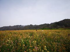 -沣峪口
