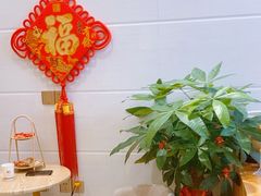 -德艺康筋膜康复中心·艾灸·推拿·抗衰