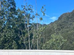 -天府火锅·始于1989年(老城十字街店)