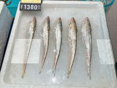 -莆鑫海鲜城(浏河店)