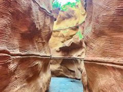 -陕西自然博物馆