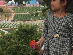 -松山湖梦幻百花洲