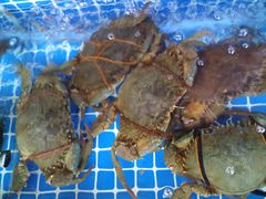 -江杨农产品批发市场