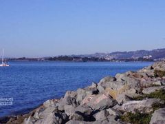 -香港东海海鲜酒家