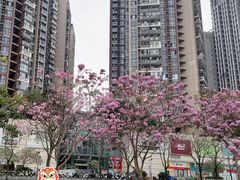 -深圳龙华星河COCO City(民治店)