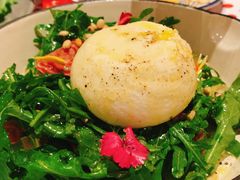 -TOMATITO(无限极荟店)