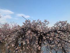 -白塘生态植物园