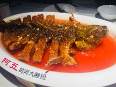 -阿五黄河大鲤鱼(英协路店)