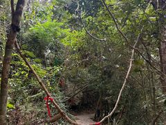 -七仙岭温泉国家森林公园