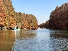 -上海海湾国家森林公园