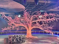 -江宁织造博物馆