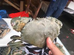 -芦潮港集贸市场