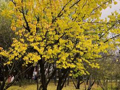 -吉林大学(前卫南区)