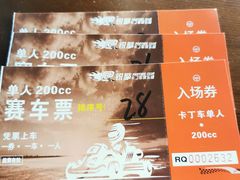 -锐擎卡丁车主题乐园(郊野公园店)