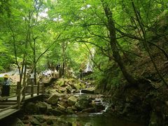 -本溪汤沟绿石谷森林公园