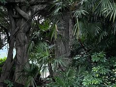 -Club Med地中海俱乐部·桂林度假村