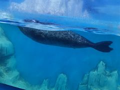 -多彩贵州城极地海洋世界