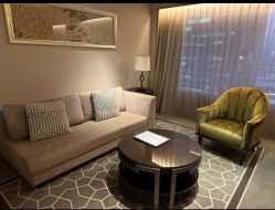 -巍阁高端月子会所