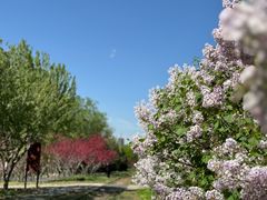 -永定河休闲森林公园