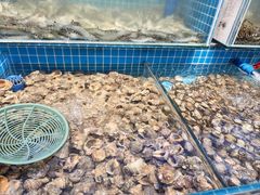-仙螺岛海鲜自助餐厅(总店)