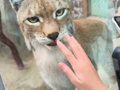-青藏高原野生动物园