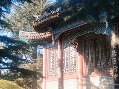 -龙口南山旅游景区