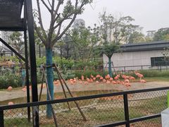 -武汉动物园