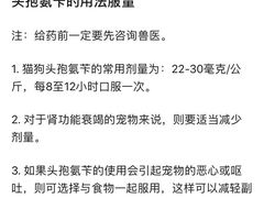 -宠颐生宠物医院·心肾内科·猫专科诊疗中心宠巢店