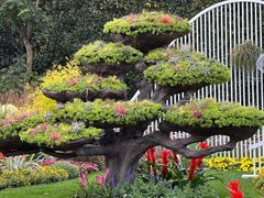 -上海共青森林公园