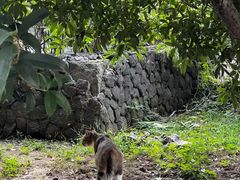 -南京市江宁方山