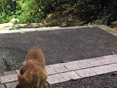 -广州市白云山风景名胜区