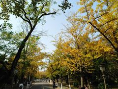 -汇泉王朝大饭店-旋转餐厅(南海路店)