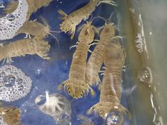 -雅逸居海鲜小厨