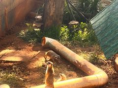 -昆明动物园