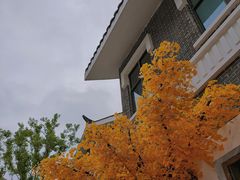 -洋湖国家湿地公园