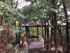 -南紀白浜 浜千鳥の湯 海舟