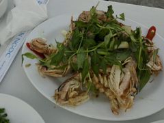-越海渔村