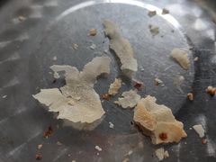 -百年夯碳烤胡椒饼(阿拉城店)