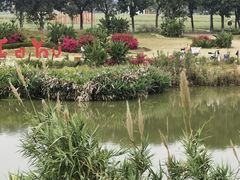 -光明小镇欢乐田园