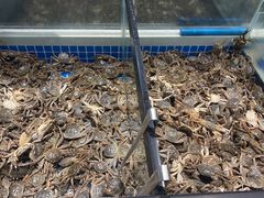 -和谐号海鲜烤肉火锅自助餐厅(车城万达店)