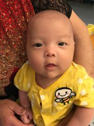 -上海小小宝婴儿理胎发胎毛笔