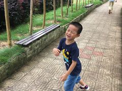 -武汉紫薇都市田园