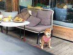 -the rug 飞毯 (朝阳公园店)