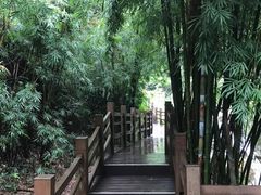 -南海湾森林生态园
