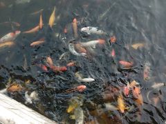 android_upload_pic-台北101