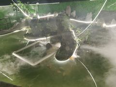 -邛海景风火盆烧烤(大石板古村二分店)