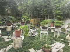 -个园