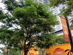 -东莞松山湖万象汇